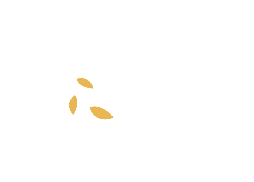 Namaste Yoga Paz